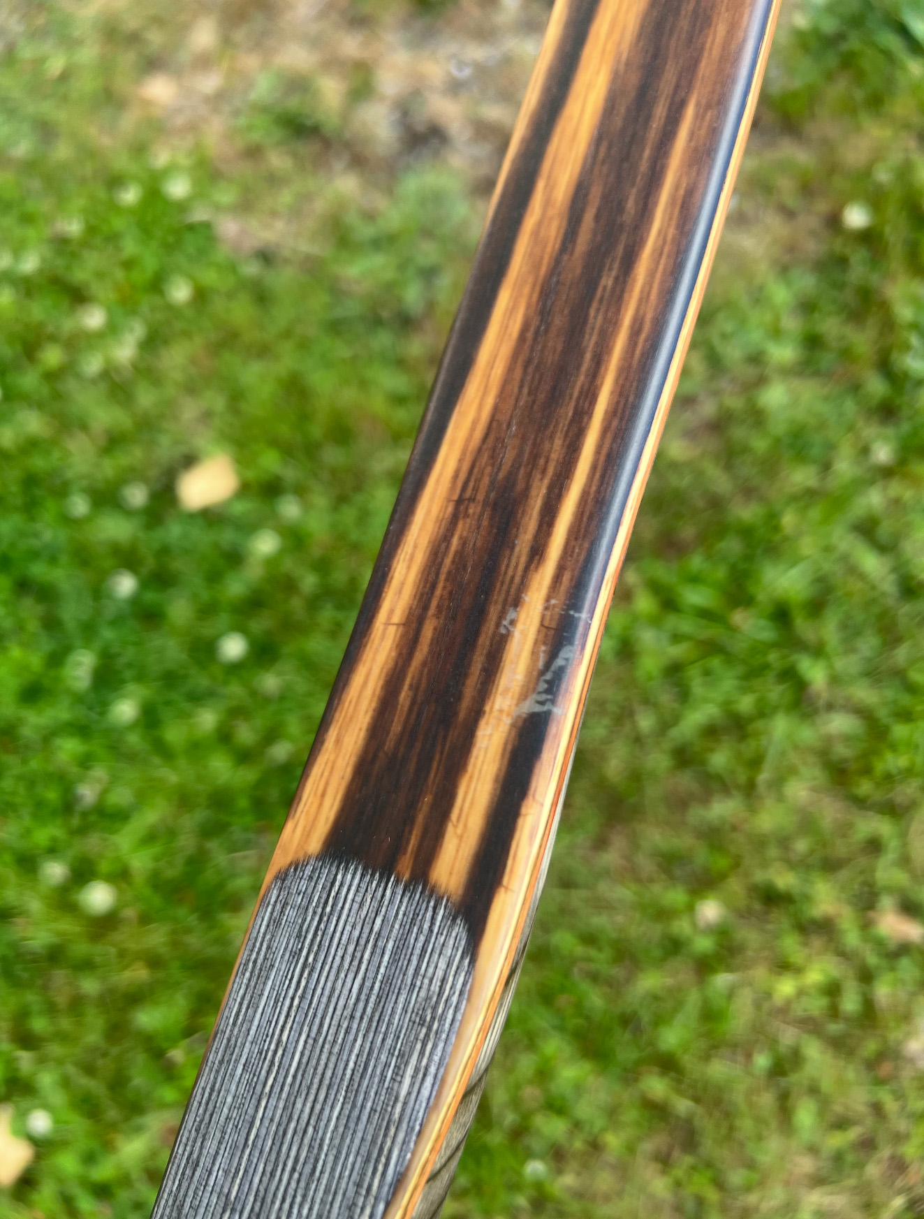 SN# 26043B 62" Damon Howatt Savannah Stealth (Medium Grey W/Clear Glass + Zebra Wood) RH 45# (62" AMO) 7/10 BLEM (ONLY 1 IN STOCK — READY TO SHIP)